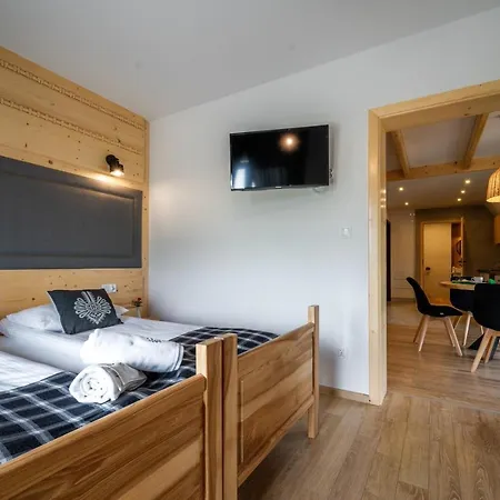 Basen Z Podgrzewana Woda Jacuzzi Dmuchaniec Sala Zabaw Wszystko W Cenie Pobytu Appart hôtel Białka Tatrzańska